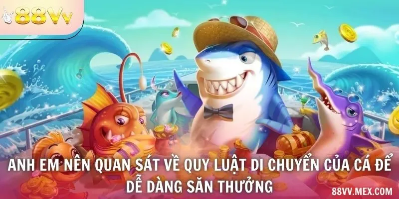 Anh em nên quan sát về quy luật di chuyển của cá để dễ dàng săn thưởng