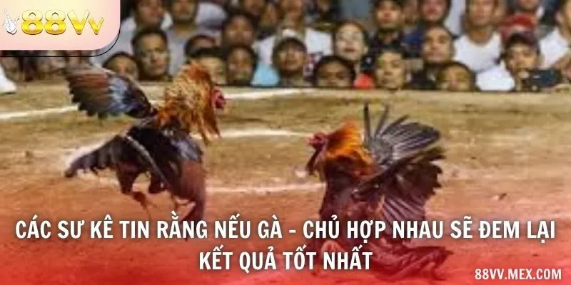 Các sư kê tin rằng nếu gà - chủ hợp nhau sẽ đem lại kết quả tốt nhất