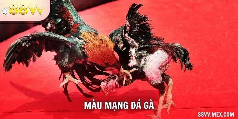 Màu mạng đá gà