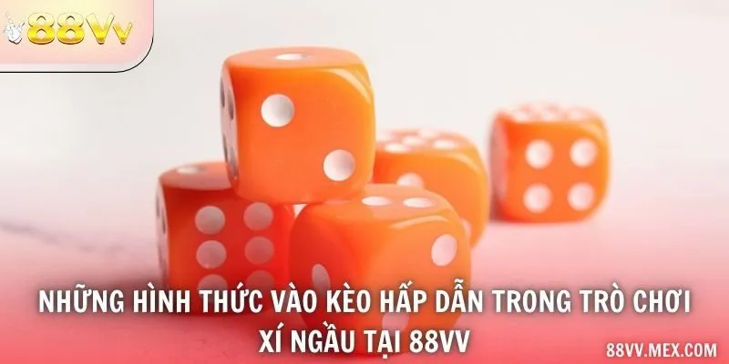 Những hình thức vào kèo hấp dẫn trong trò chơi xí ngầu tại 88VV