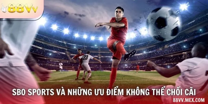 SBO Sports và những ưu điểm không thể chối cãi