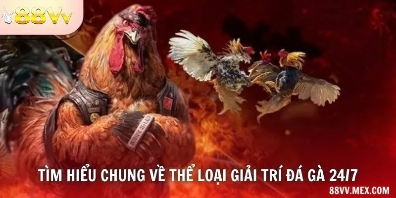 Tìm hiểu chung về thể loại giải trí đá gà 24/7